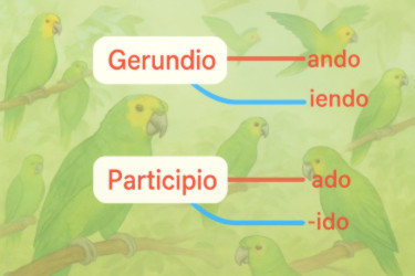 30 - Verbos: presente, gerundio, participio
