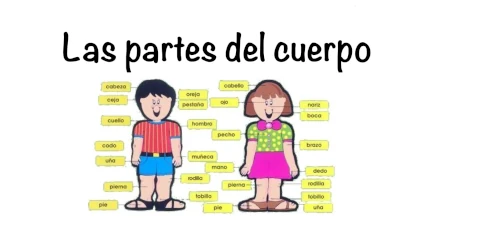 ¿Qué te pasa? Las partes del cuerpo.