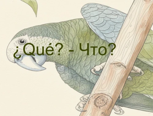 Las Preguntas